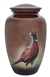Ringneck Pheasant - FS