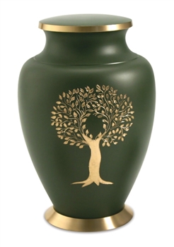Golden Tree Cypress Green - FS