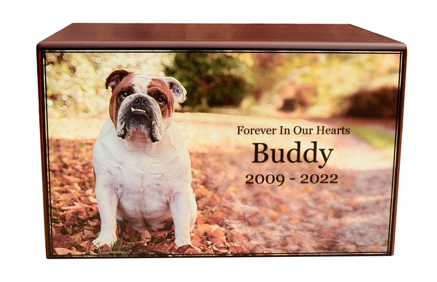 Pet Edition <br>Serenity Collection<small> <br>Elevating Memories</small>
