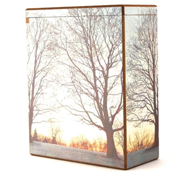 Scattering Urn - Winter Sky - FS