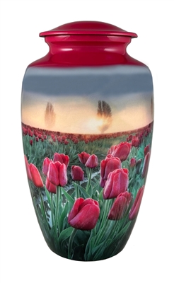 Tulips -  FS  Factory Blem