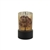 Illuminate Tree of Life - KS