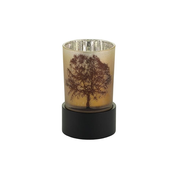Illuminate Tree of Life - KS