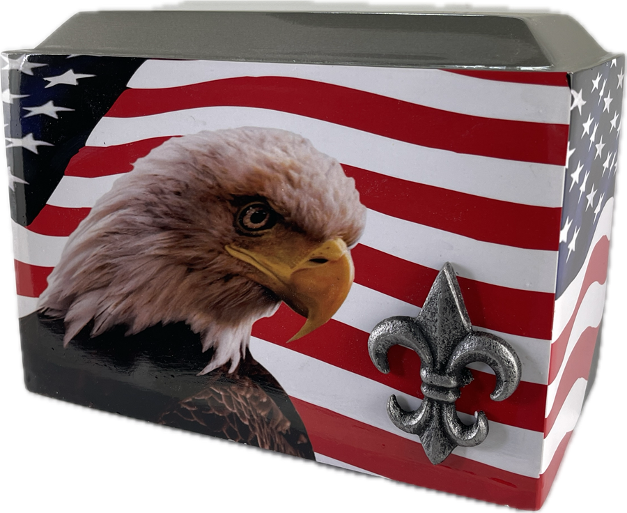 American Eagle - FS