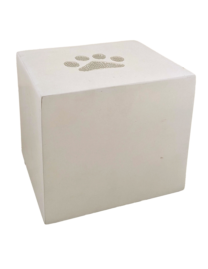 White Cube with Paw - SS
