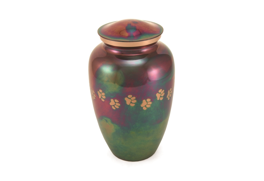 Classic Paws Raku-FS