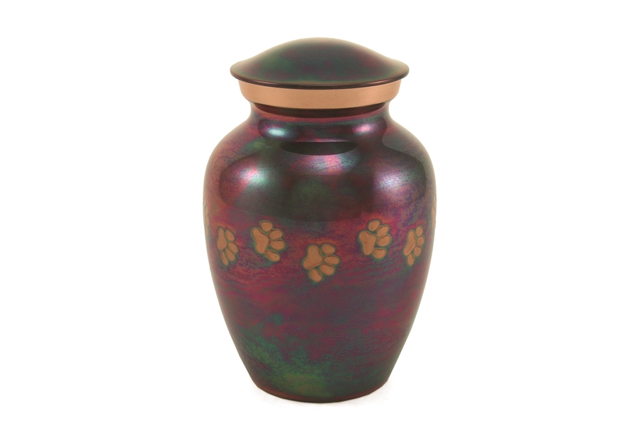 Classic Paws Raku-IS