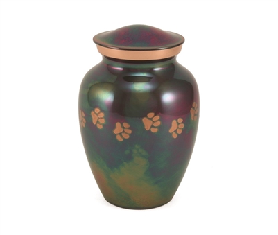 Classic Paws Raku  -MS