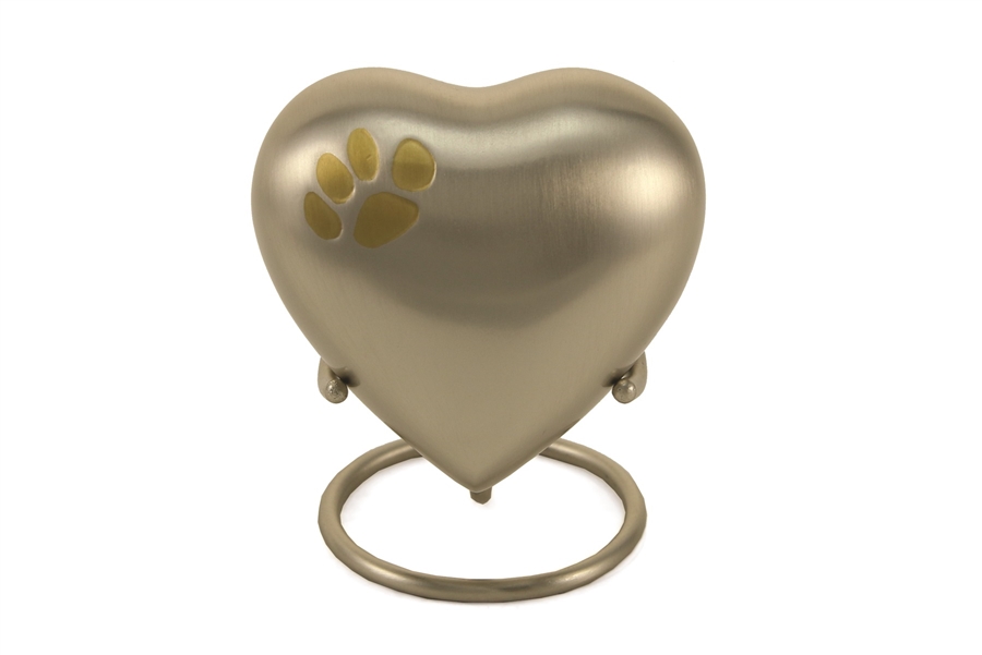 Classic Paws Pewter - HS
