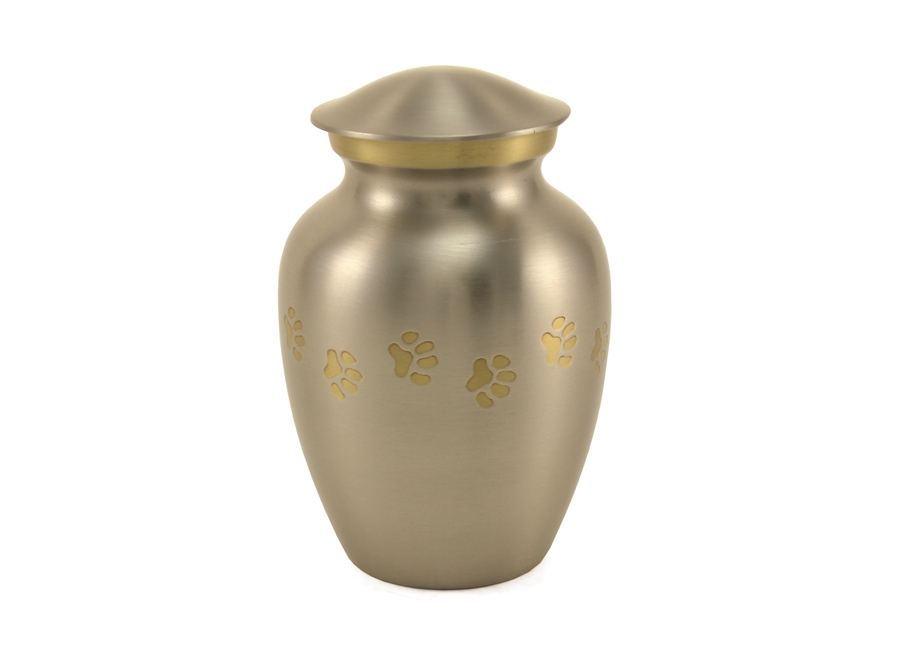Classic Paws Pewter -IS