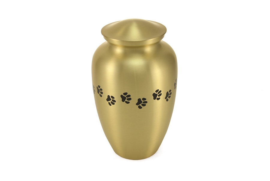 Classic Paws Brass-FS