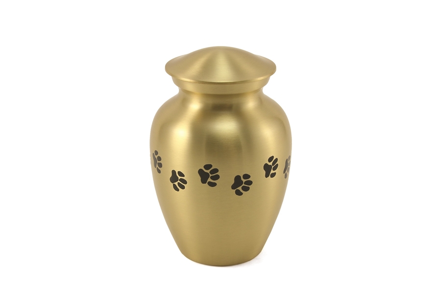 Classic Paws Brass-IS