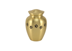 Classic Paws Brass -MS
