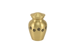 Classic Paws Brass - PS