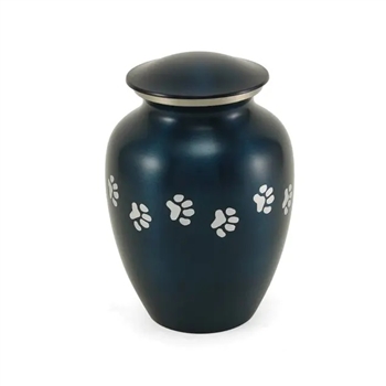Classic Paws  Blue  -MS