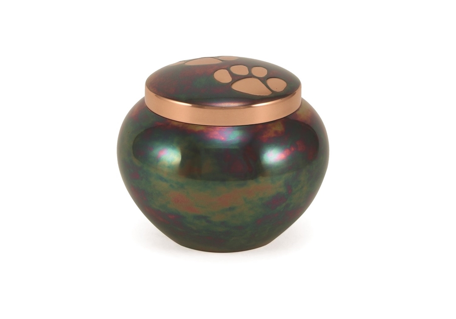 Odyssey Paws Raku  - IS