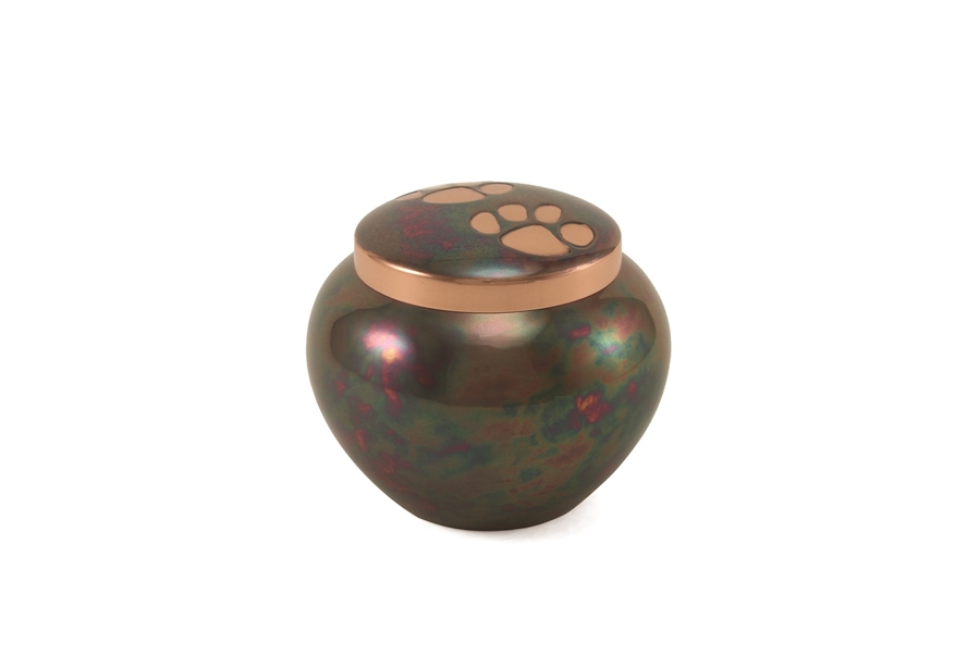 Odyssey Paws Raku - MS