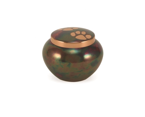 Odyssey Paws Raku - PS