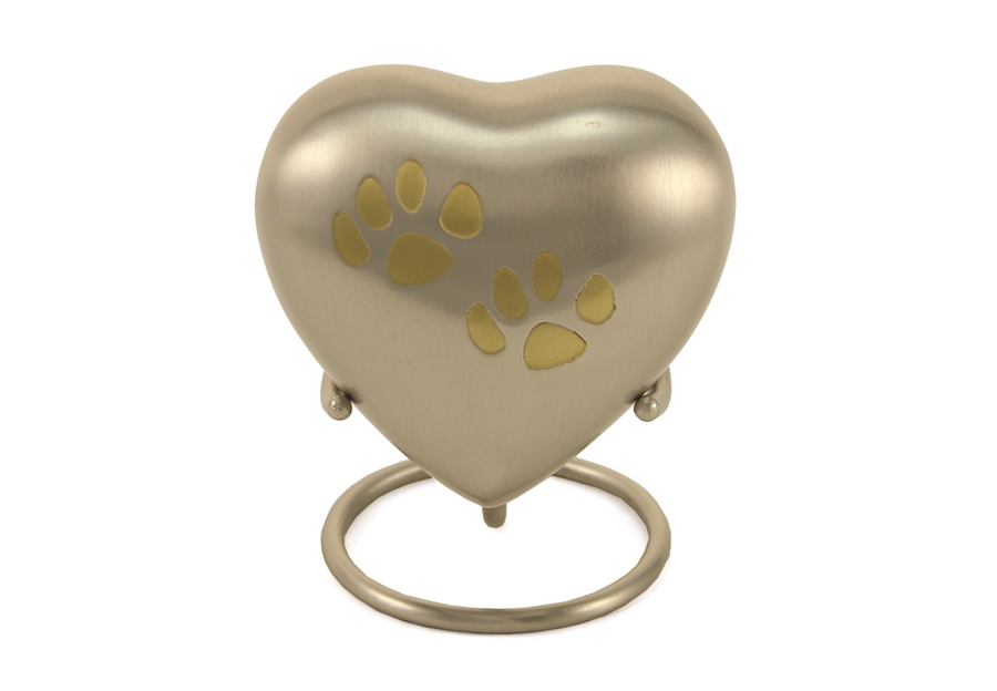 Odyssey Paws Pewter- HS