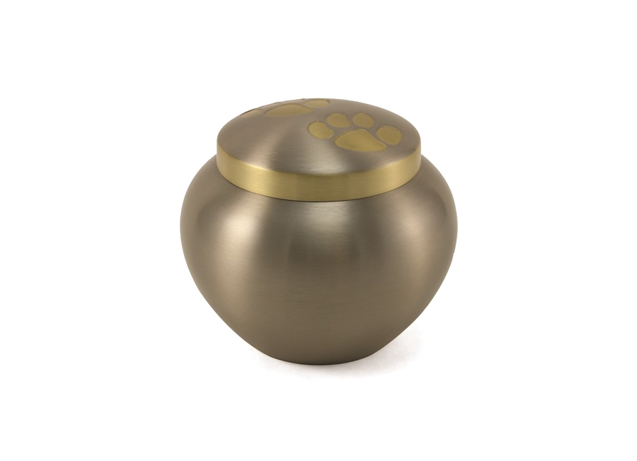 Odyssey Paws Pewter - IS