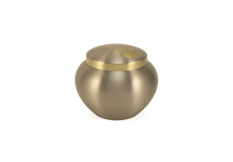 Odyssey Paws Pewter - MS