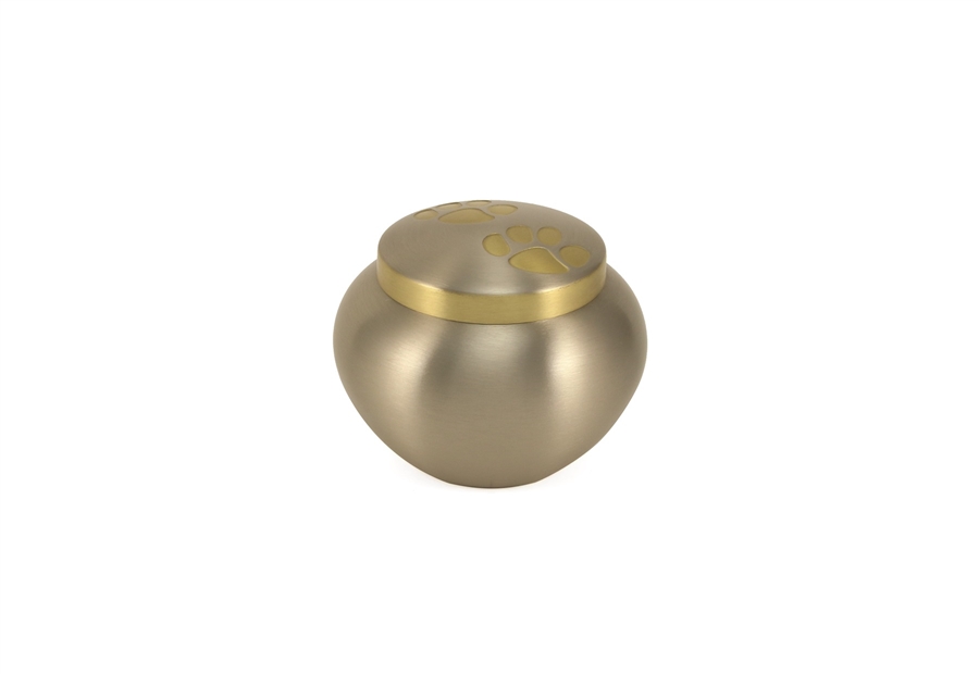 Odyssey Paws Pewter- PS