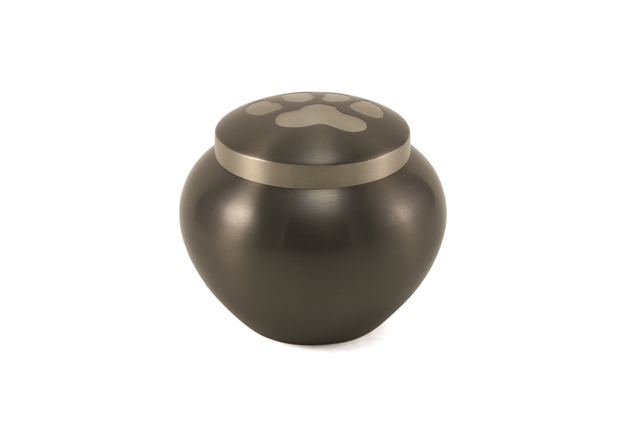 Odyssey Paws Slate - IS