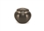 Odyssey Paws Slate - MS