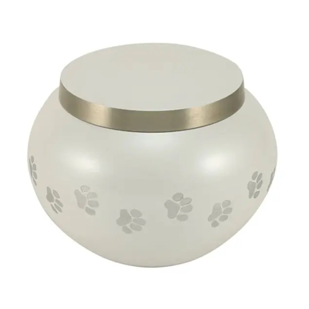 Odyssey Paws  White- IS