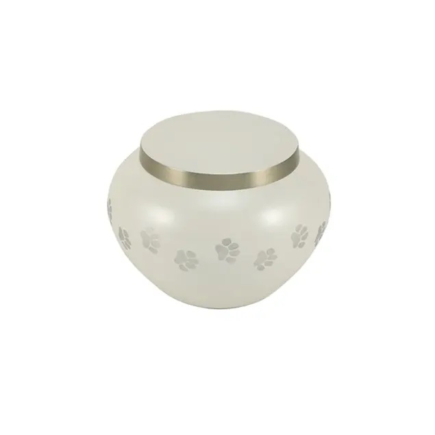 Odyssey Paws White - PS