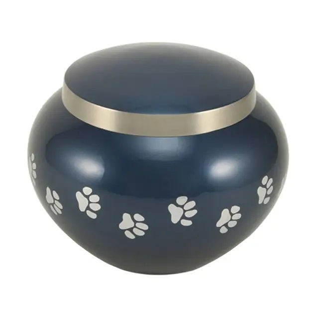 Odyssey Paws Blue  - IS