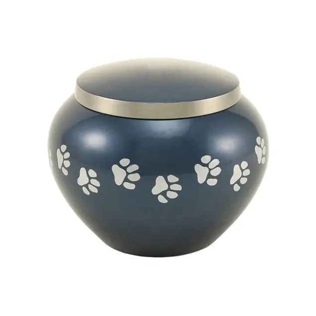 Odyssey Paws Blue - MS
