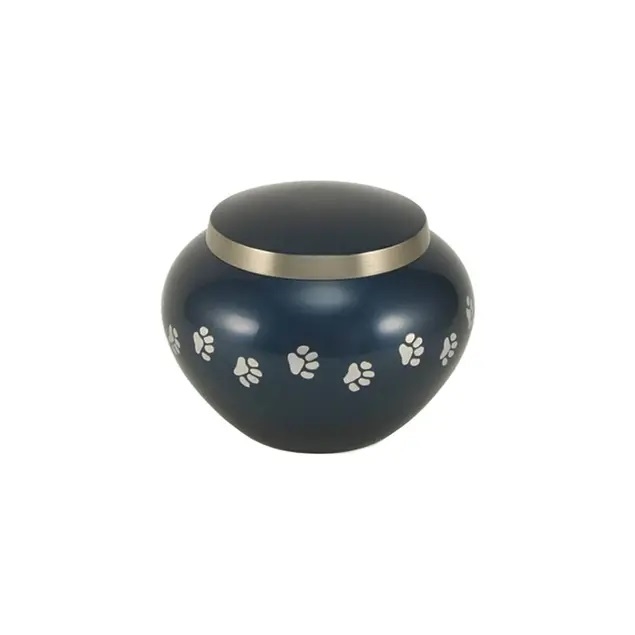 Odyssey Paws Blue  - PS