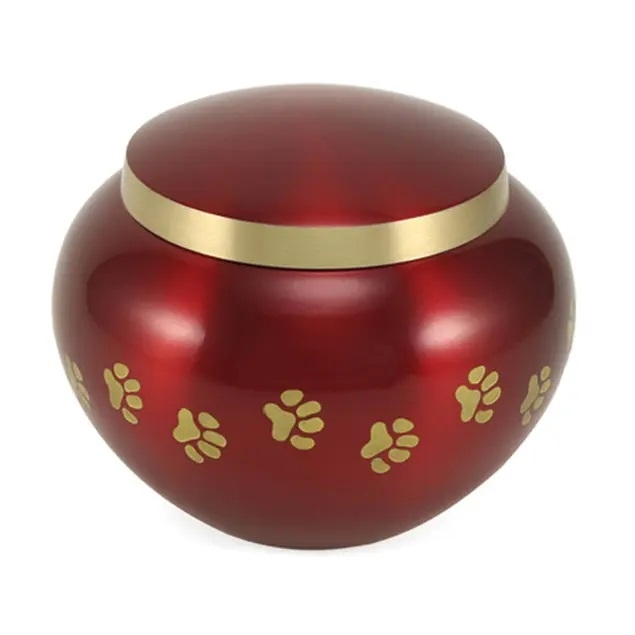 Odyssey Paws Crimson- IS