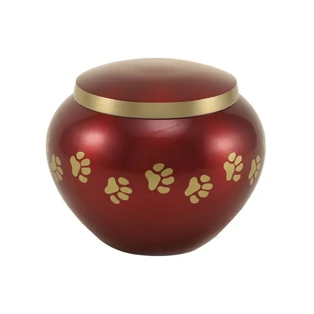 Odyssey Paws Crimson - MS