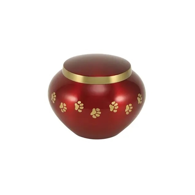 Odyssey Paws Crimson - PS