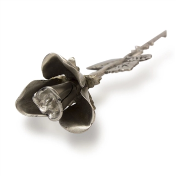 Rose - Pewter