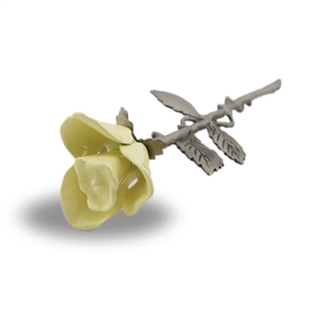 Rose - Yellow