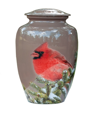 Winter Cardinal - FS