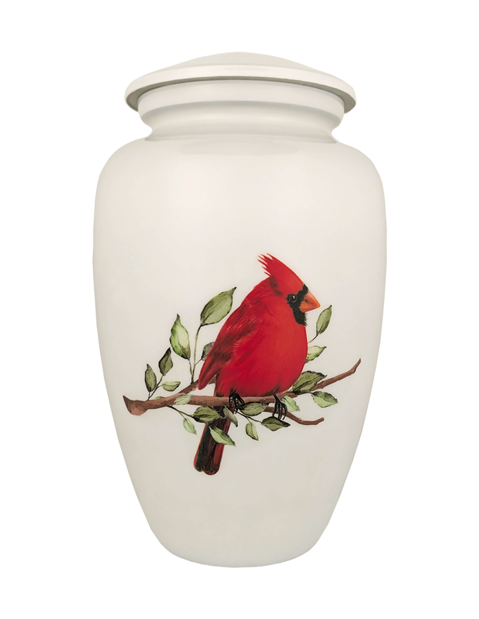 Serene Cardinal - FS